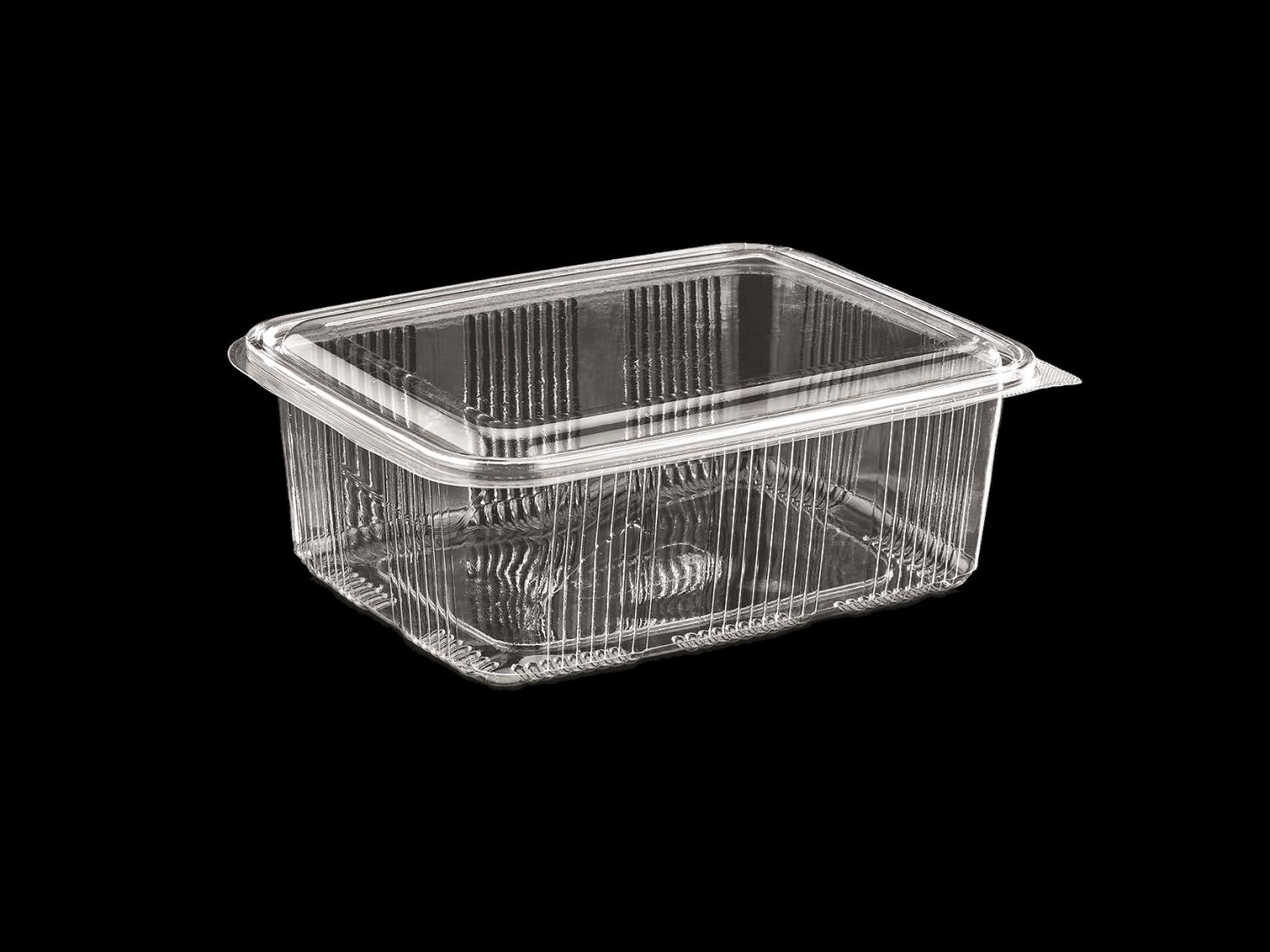 >1750 cc Luxury Hinged Lid Food Container