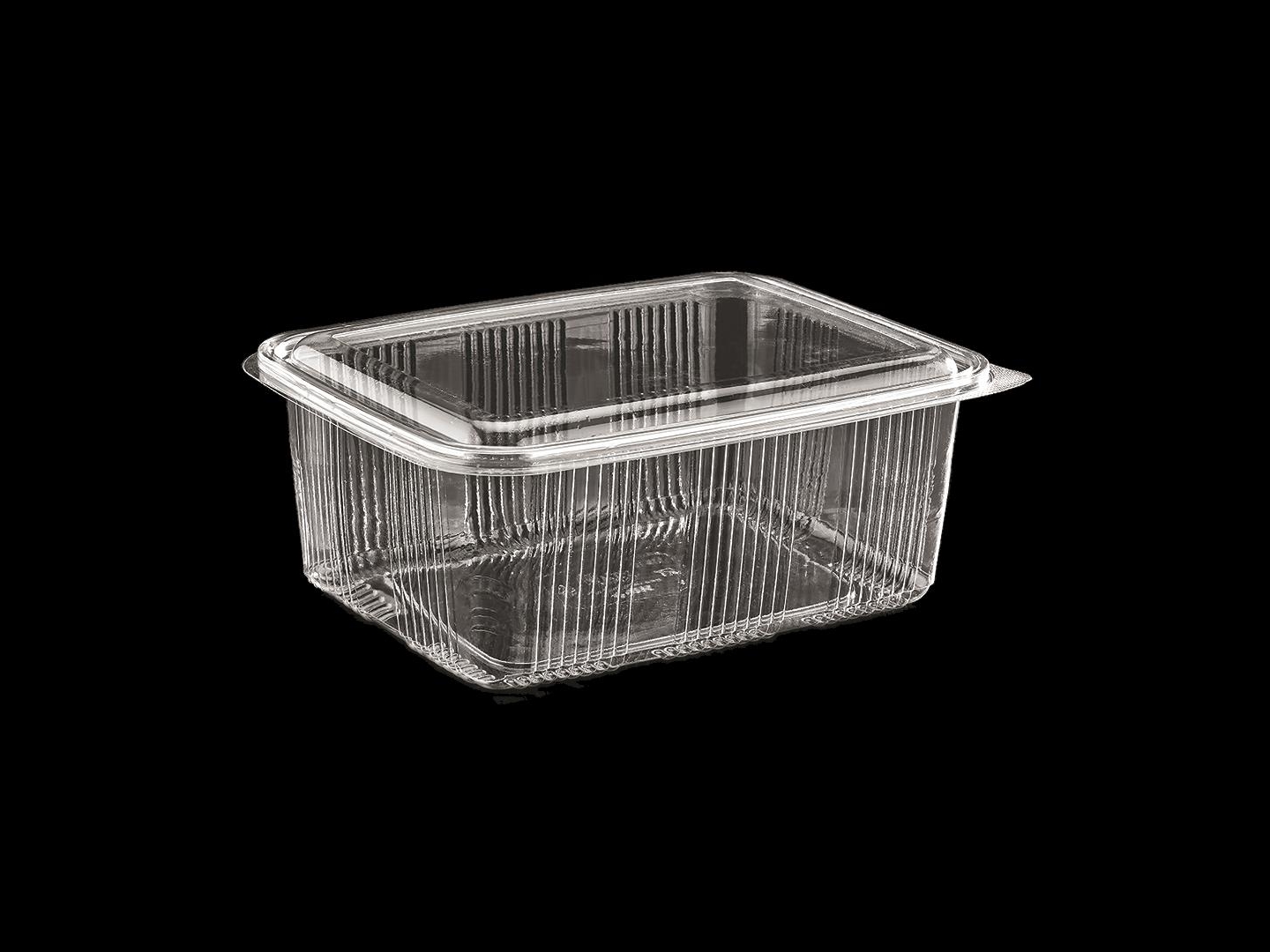 >2000 cc Luxury Hinged Lid Food Container