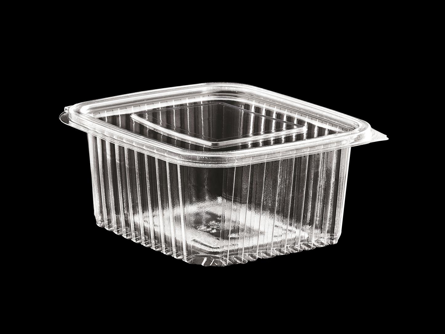 >500 cc Hinged Lid Food Container